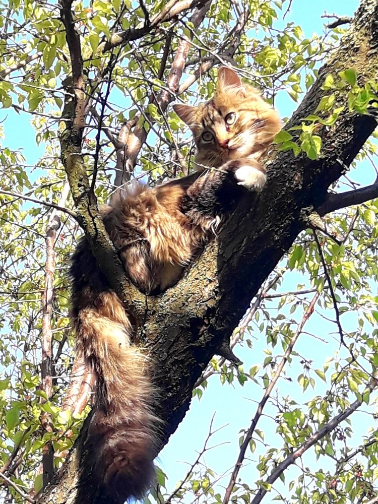 Photograph by Вера Курносова