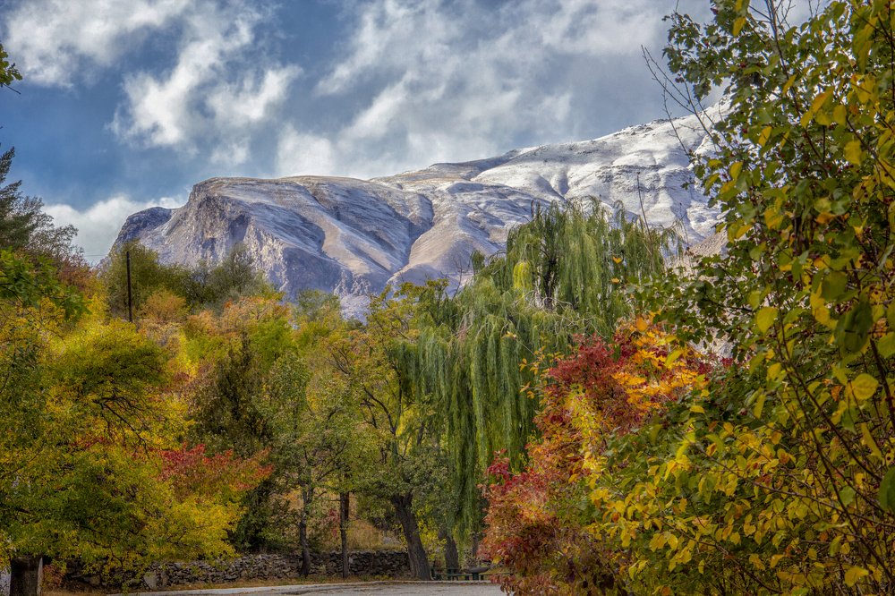 Photograph by Ксения Попова