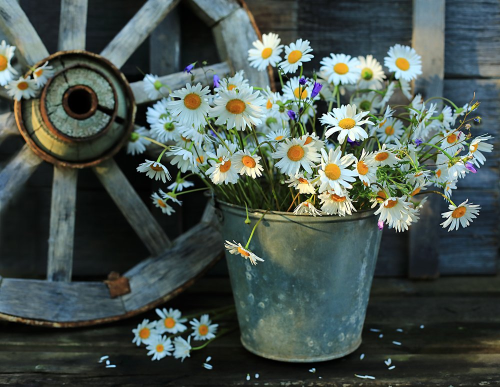 Photograph by Наталья Бочкарева