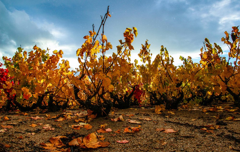 Photograph by Ambre Visca