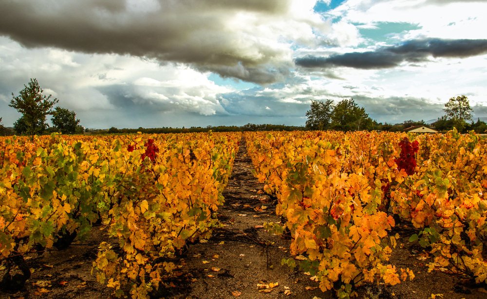 Photograph by Ambre Visca