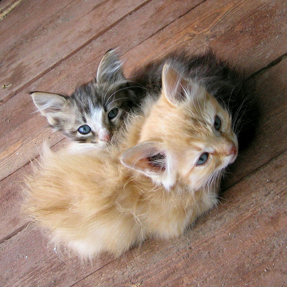 Photograph by Наталья Жигарева