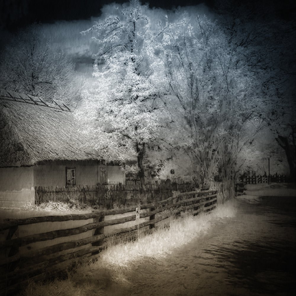 Photograph by Andrzej Andrychowski