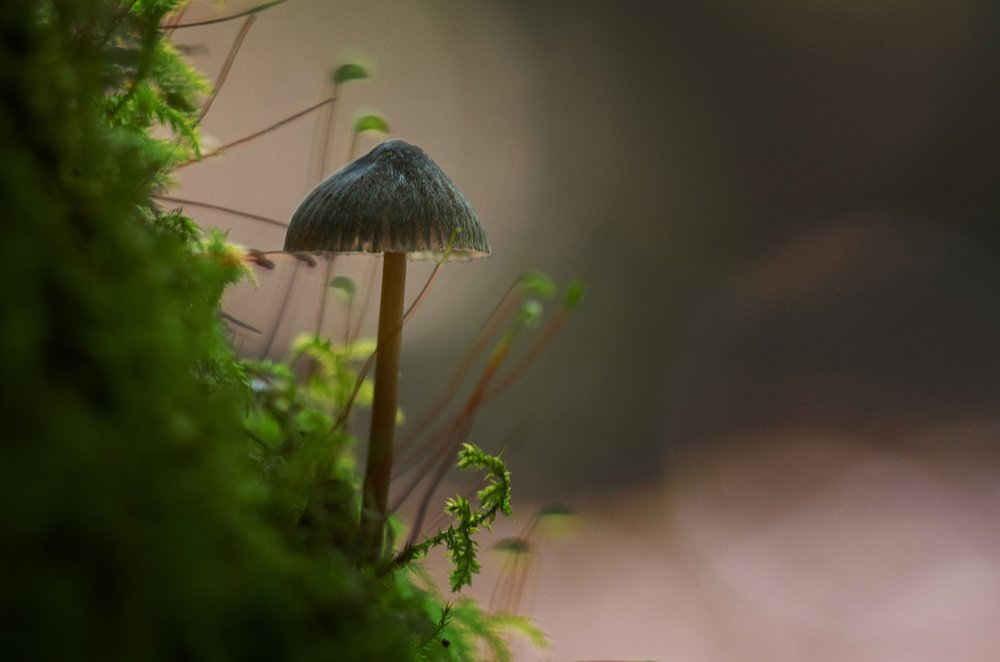 Photograph by Андрей Бурда