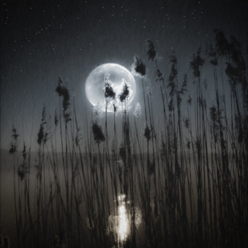 Photograph by Andrzej Andrychowski