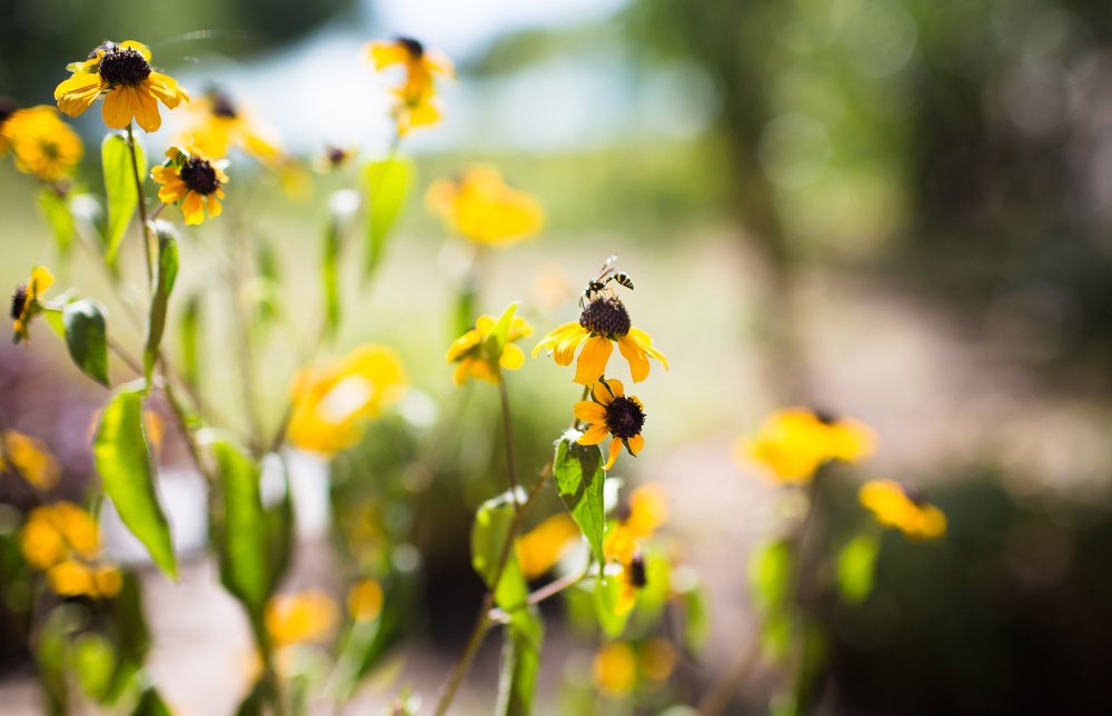 Photograph by Андрей Киричук