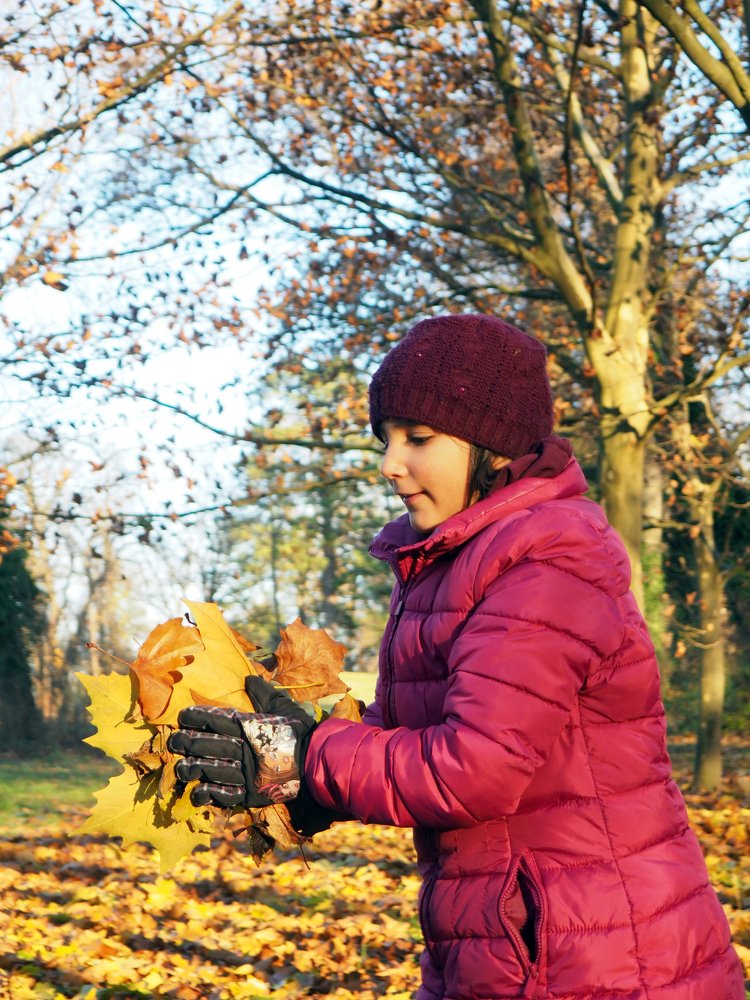 Фотография автора Denes Doma