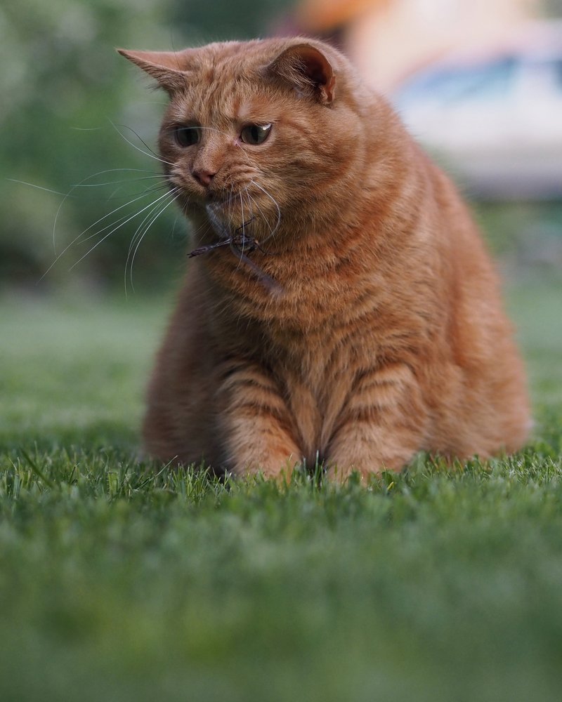 Photograph by Irina Egorova