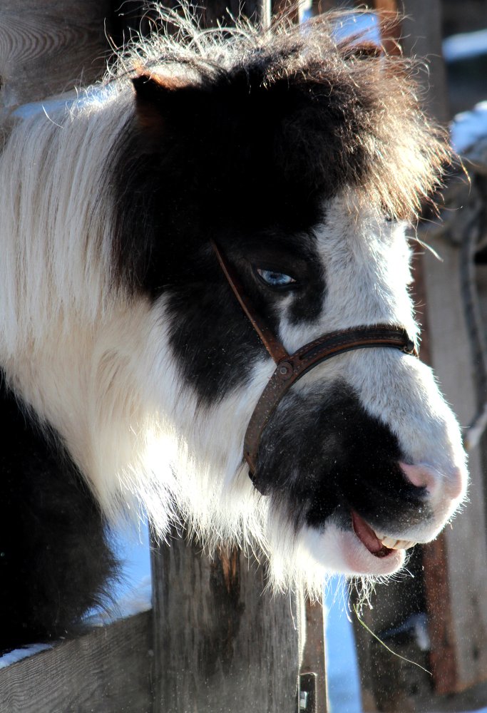 Photograph by Игорь Быков