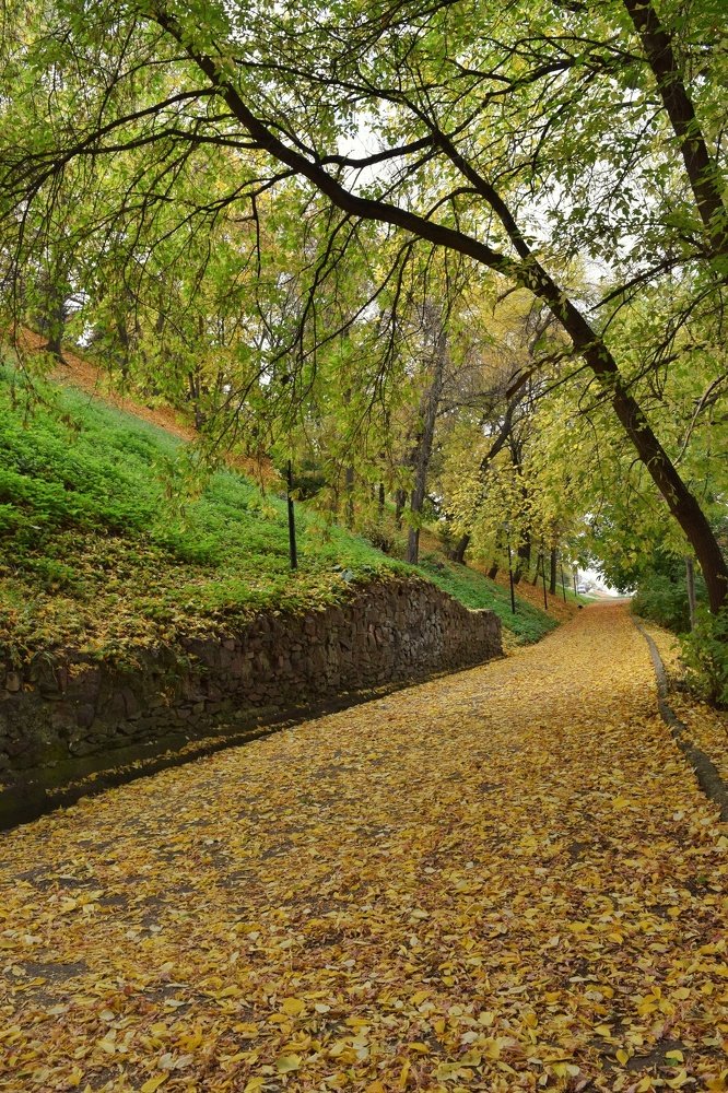 Photograph by Ирина Курицына