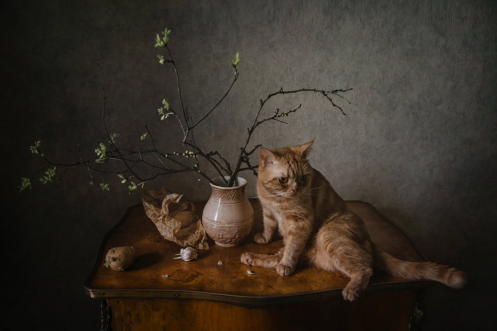 Фотография автора Анна Петина