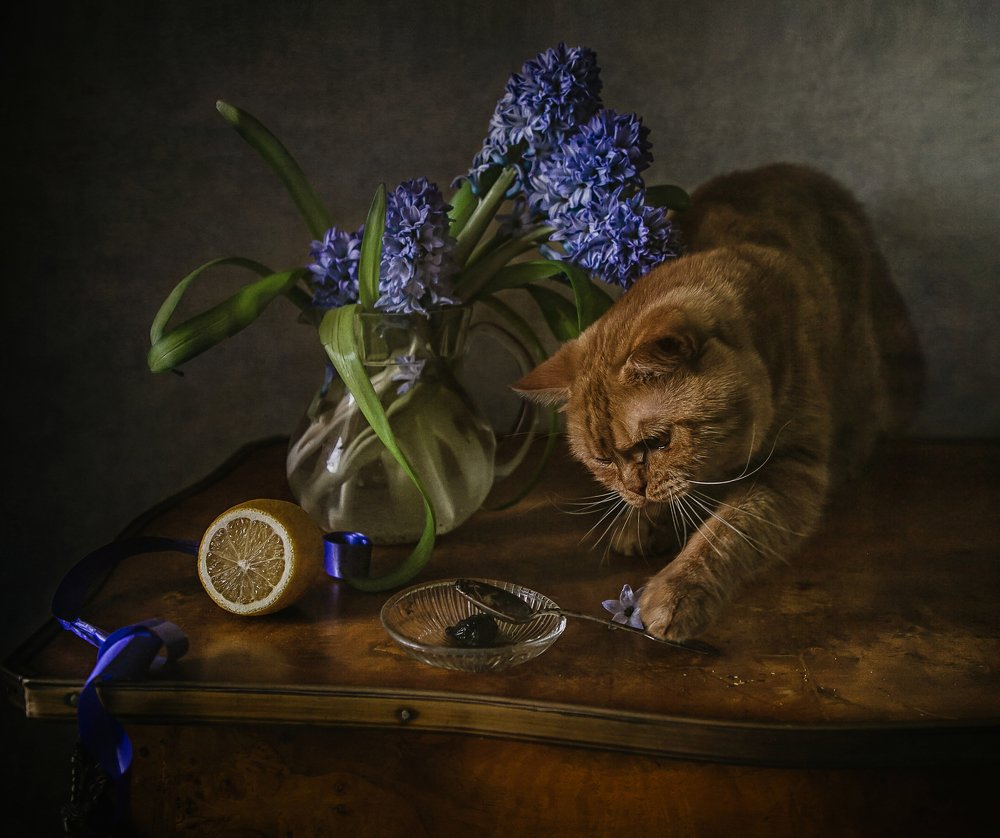 Photograph by Анна Петина