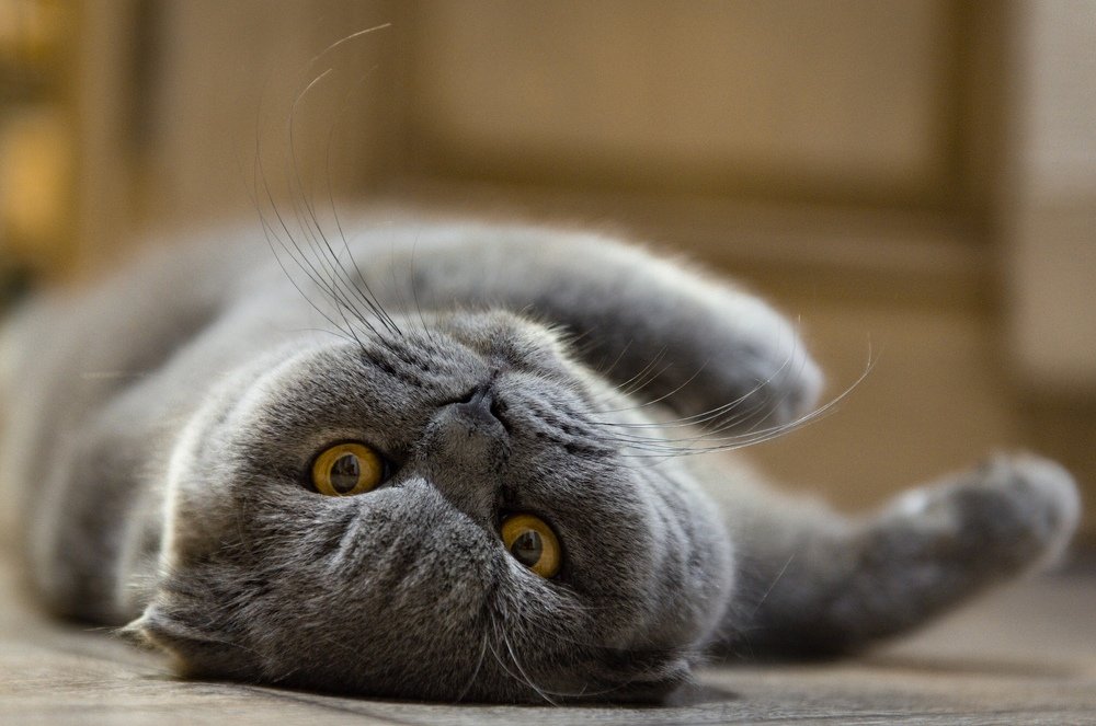 Photograph by ЕВГЕНИЙ РУДЕНКО