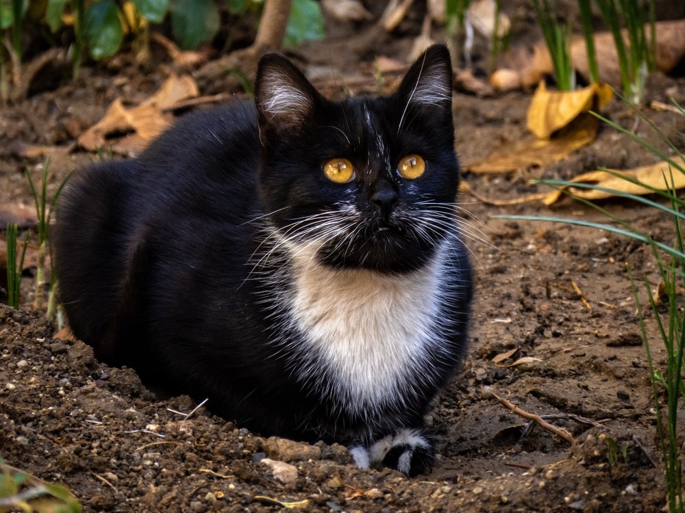 Photograph by Bahrami Ashkan