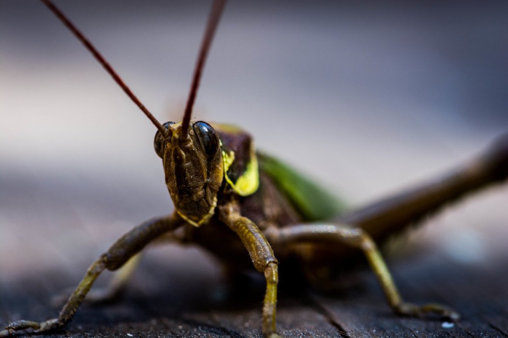 Фотография автора Gonzalo Garcia Favre