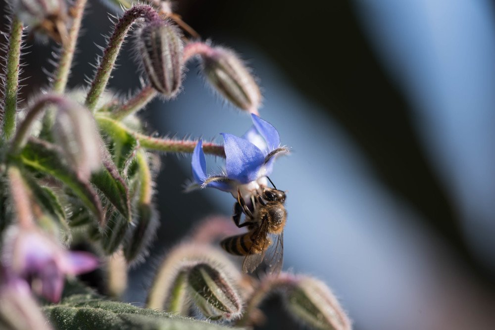 Фотография автора Gonzalo Garcia Favre