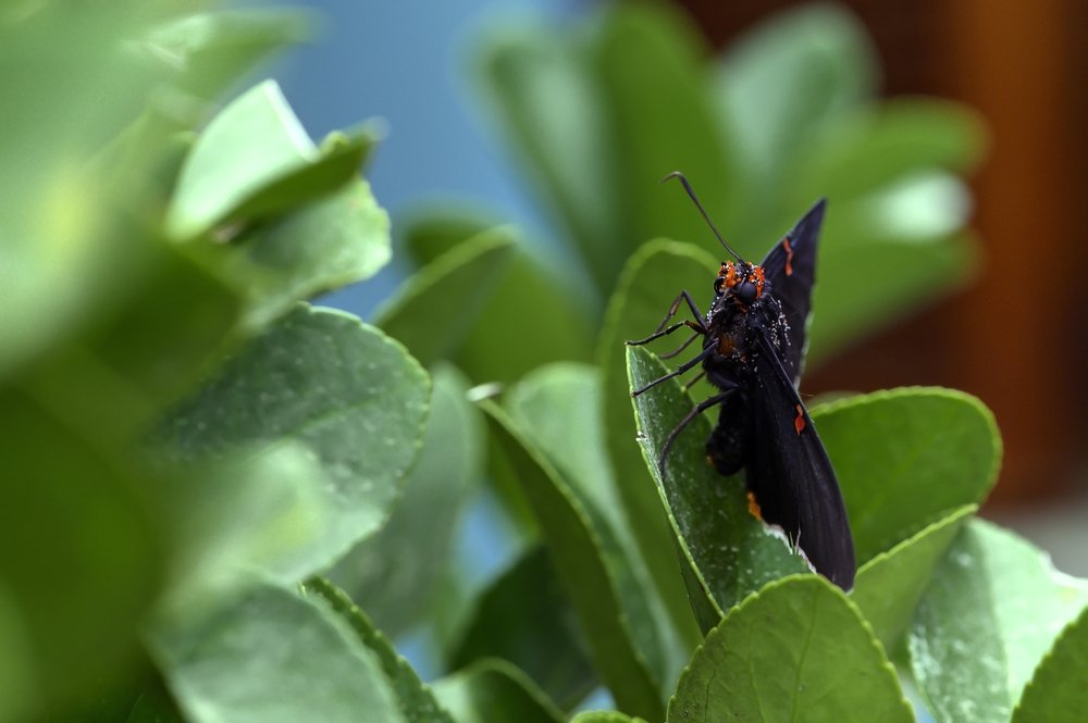 Фотография автора Gonzalo Garcia Favre