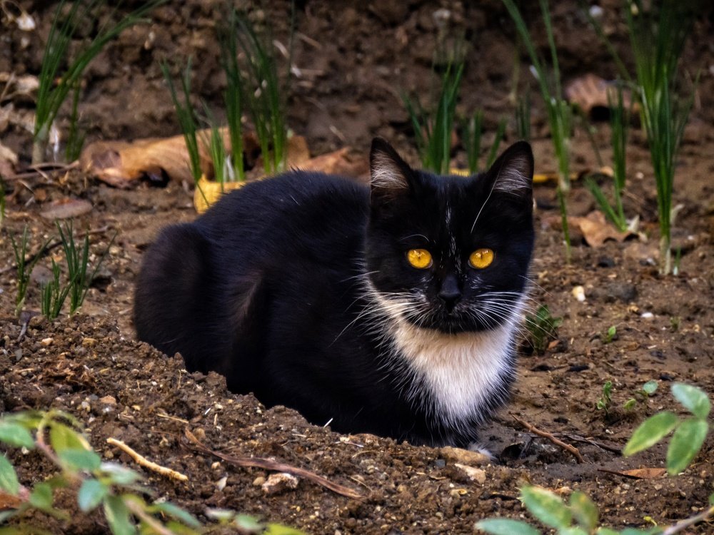 Photograph by Bahrami Ashkan