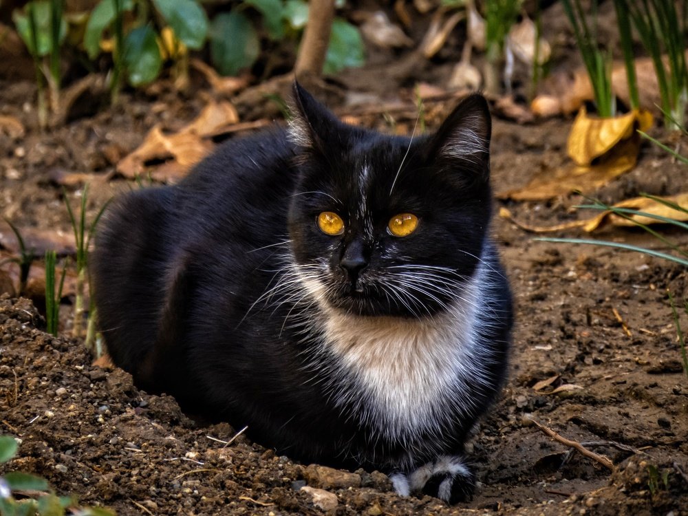 Photograph by Bahrami Ashkan