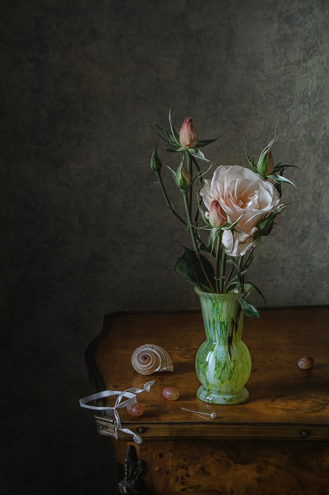 Фотография автора Анна Петина