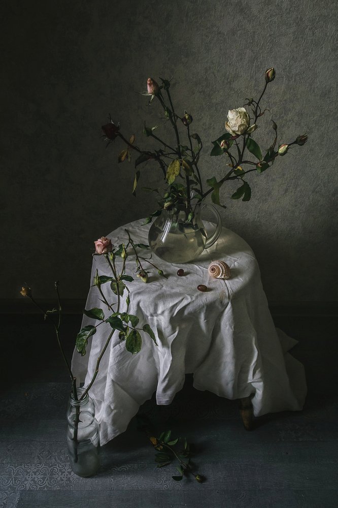 Фотография автора Анна Петина