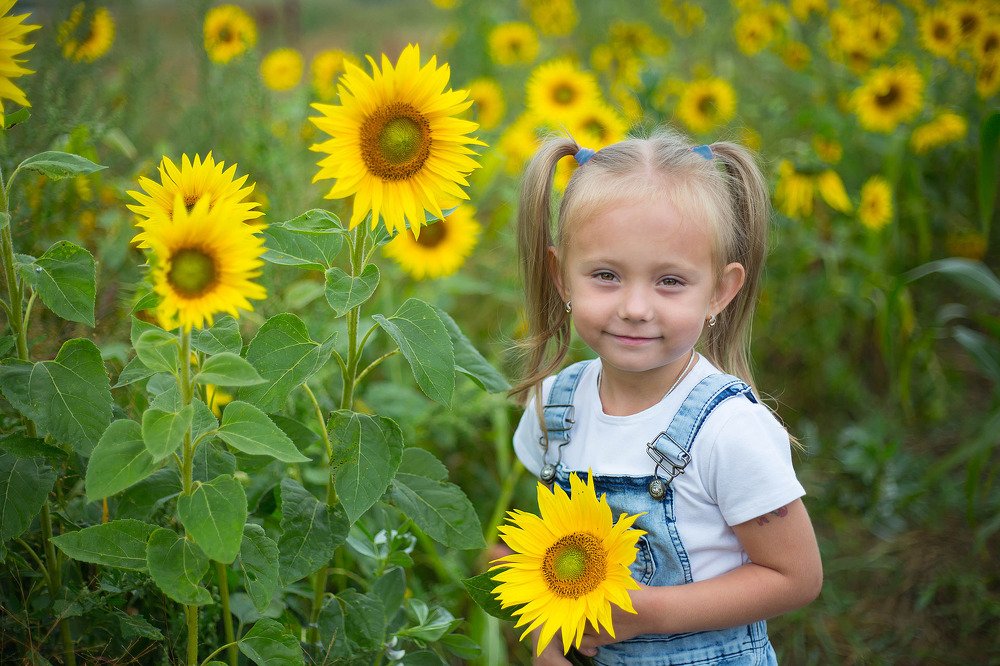 Photograph by Надежда Моряхина