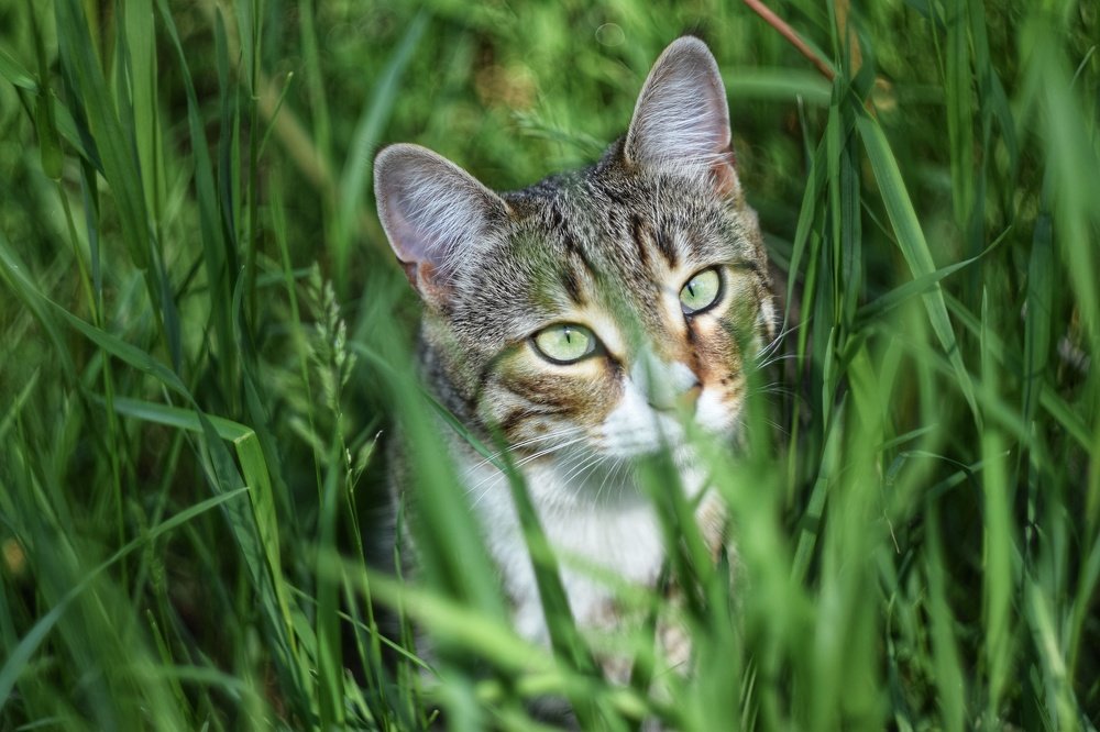 Photograph by Ирина Курицына