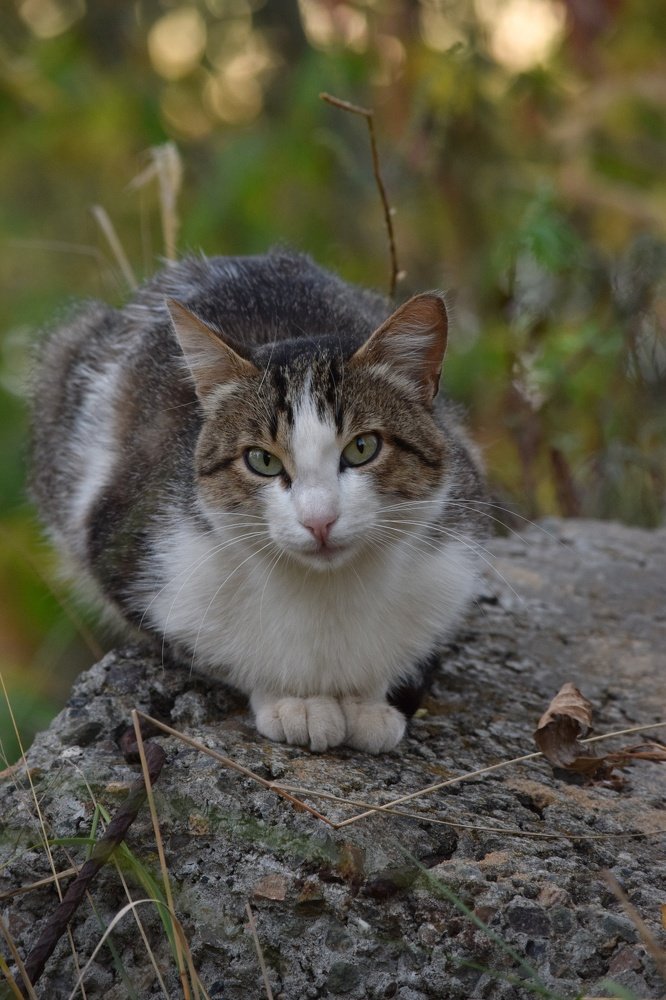 Photograph by Ирина Курицына