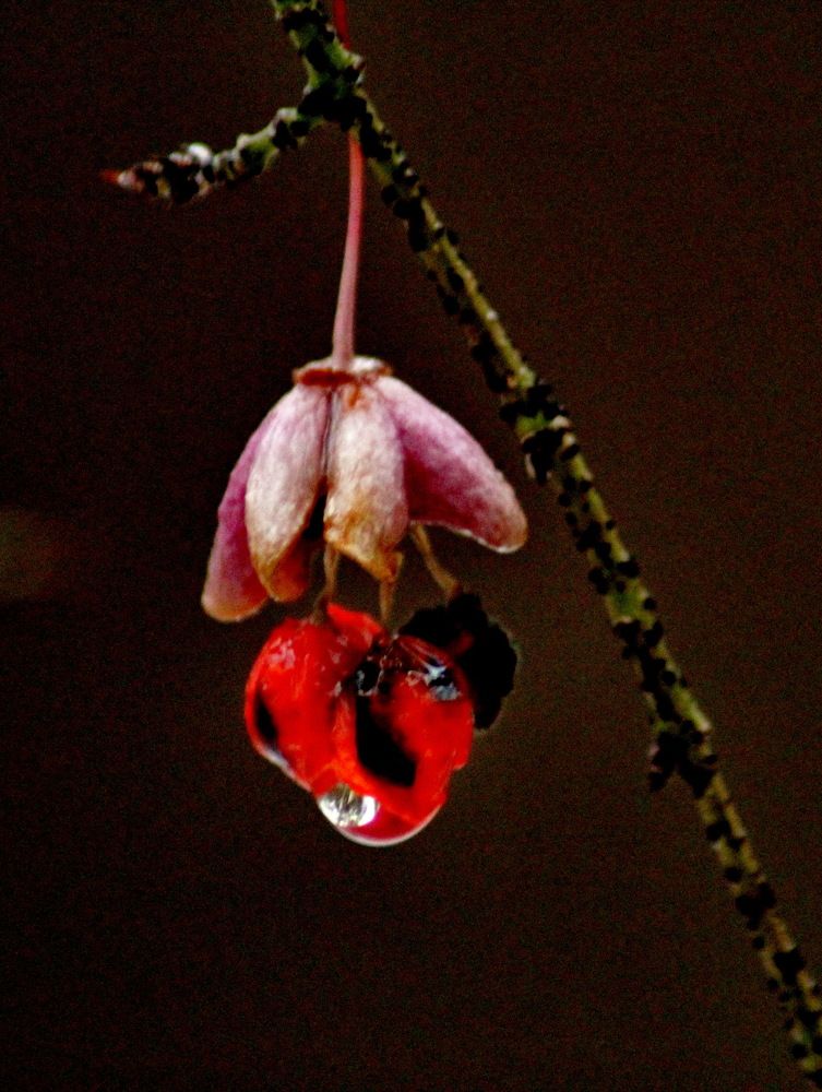 Photograph by Николай Николаевич Леухин