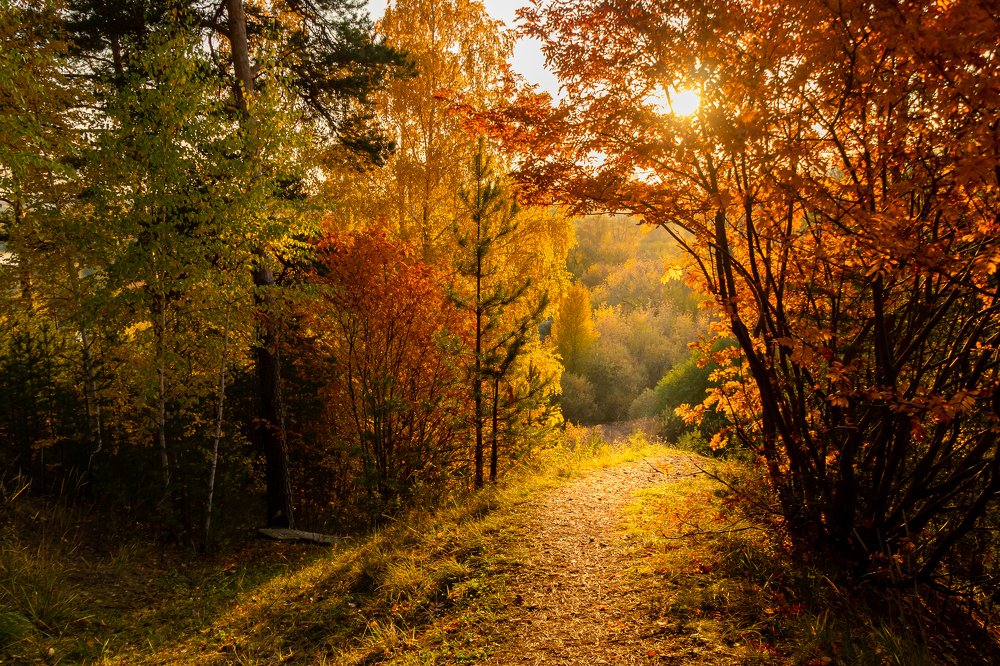 Уральская осень