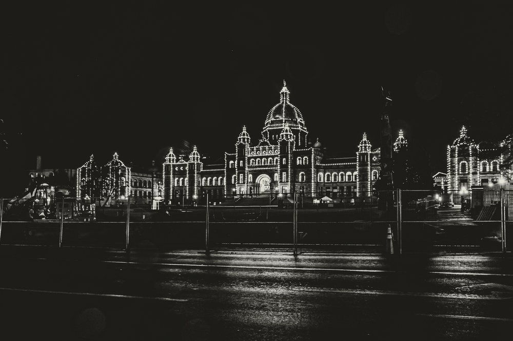 Photograph by Ali Mohammadi Fard