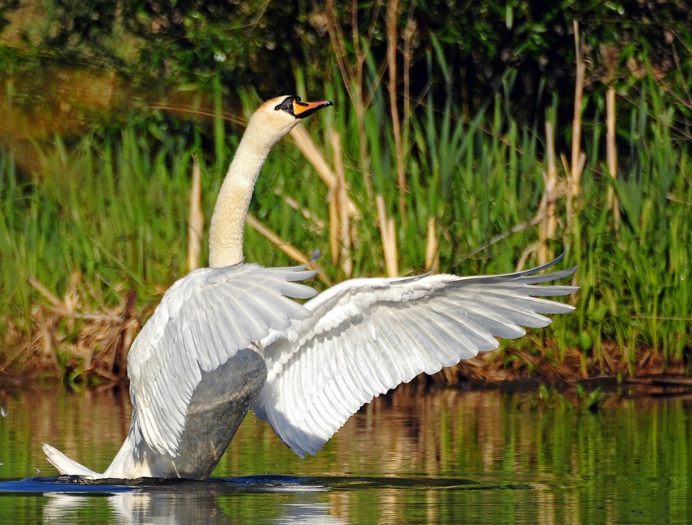 Фотография автора Антип