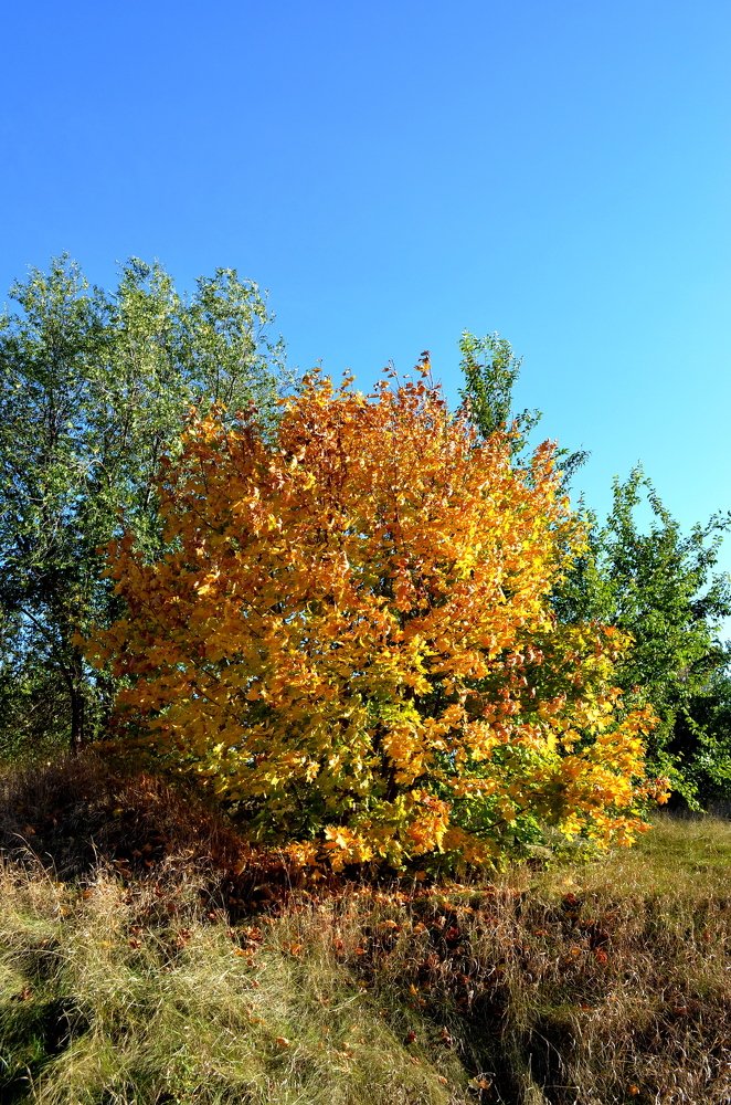 Photograph by Артур Хороший