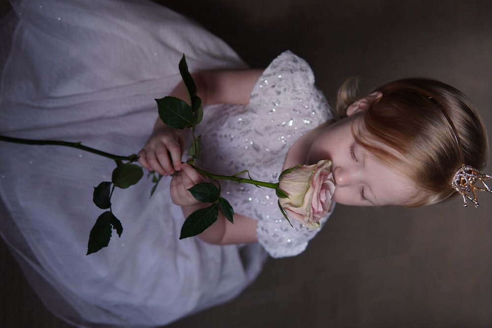 Фотография автора Елена