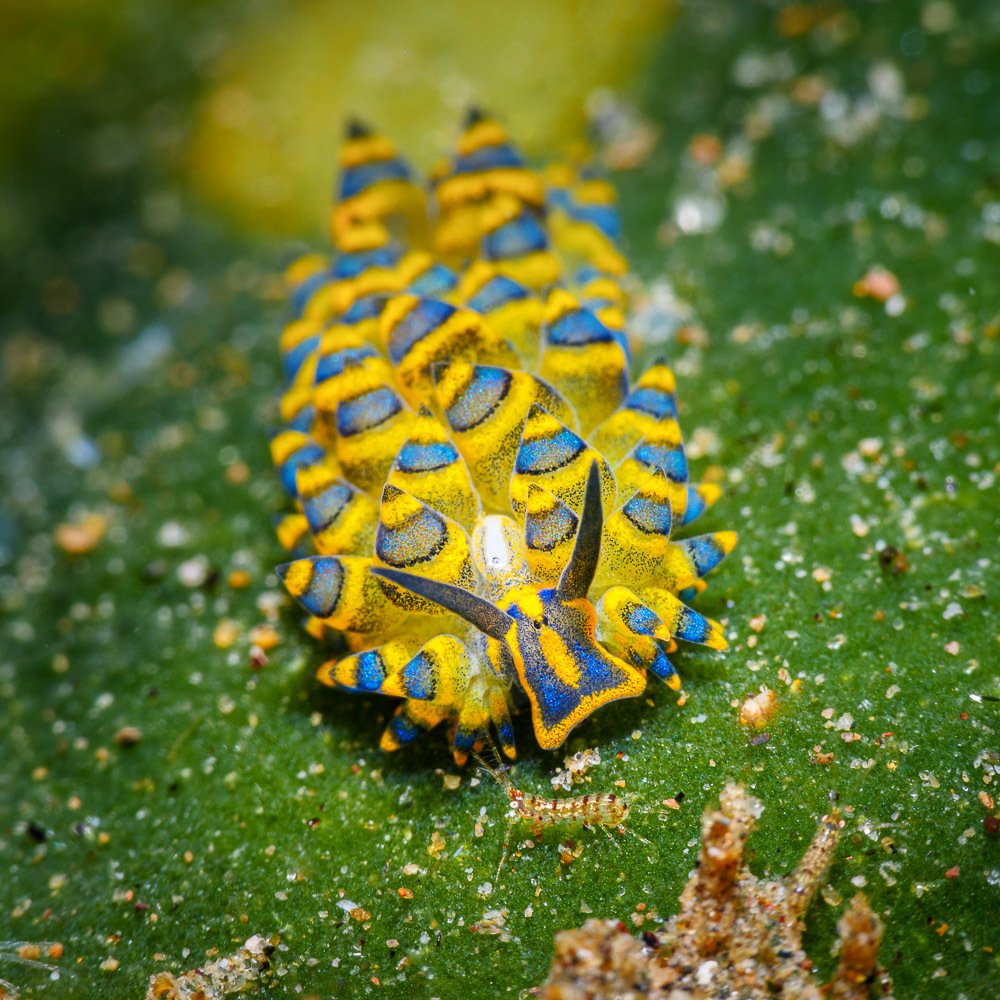 Photograph by Андрей Савин