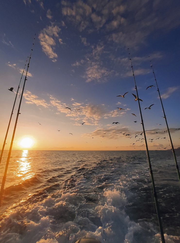 Рыбалка. Fishing.