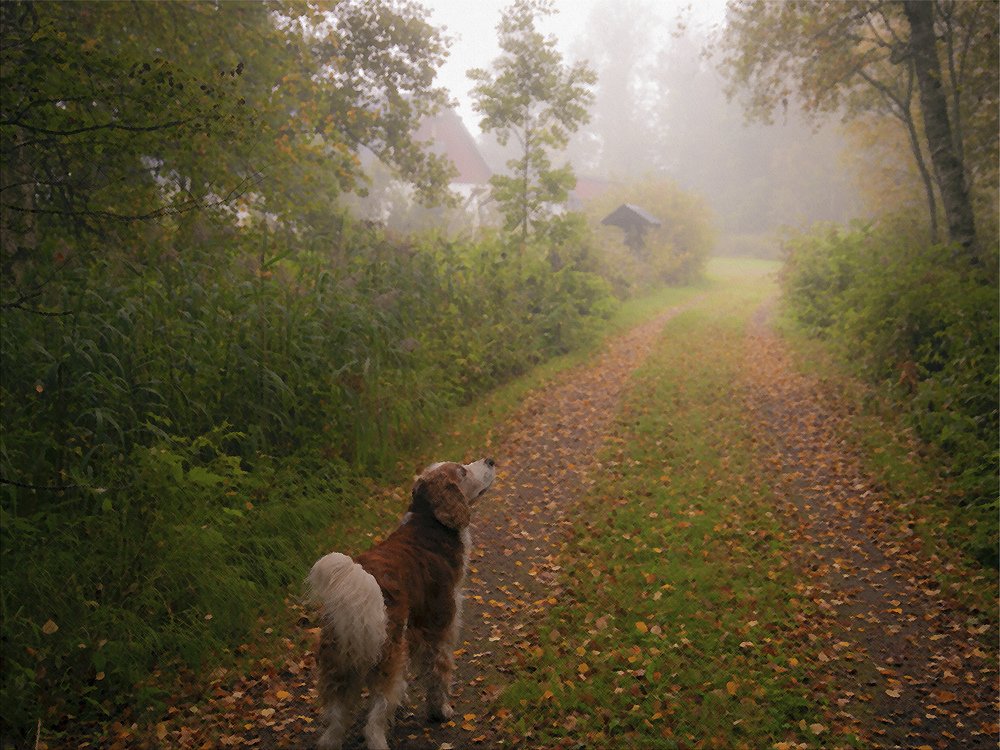 Photograph by Liudmila Drake