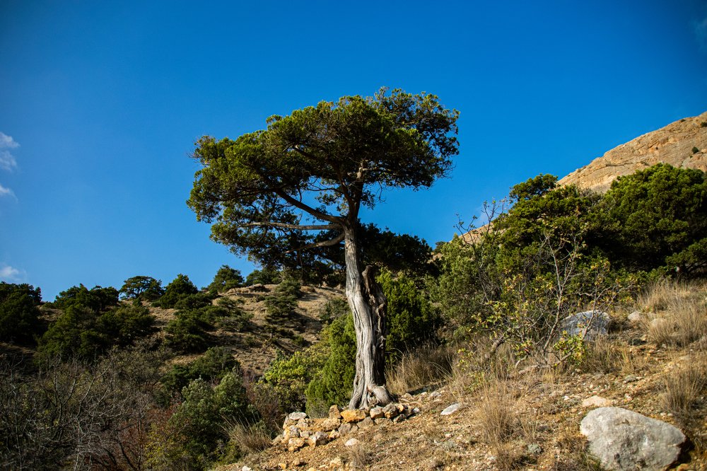 Photograph by Алексей Щегольков