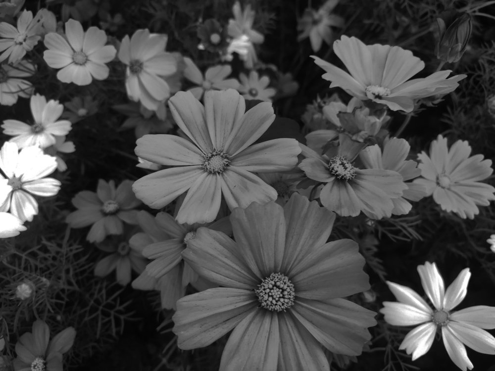 Photograph by Jonathan