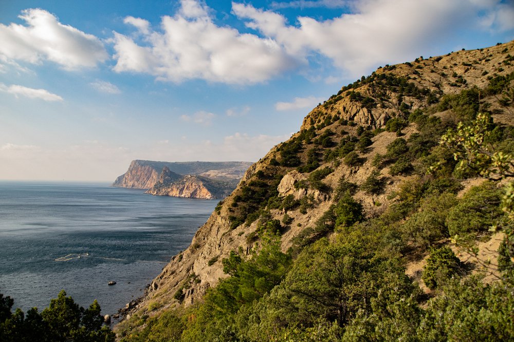 Photograph by Алексей Щегольков