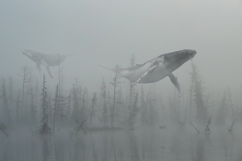 Photograph by Александр Ипполитов