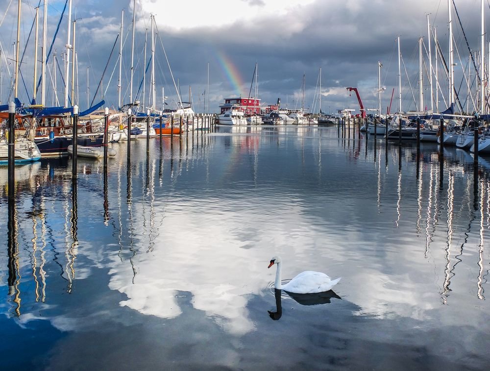 Photograph by Дмитрий Синичев