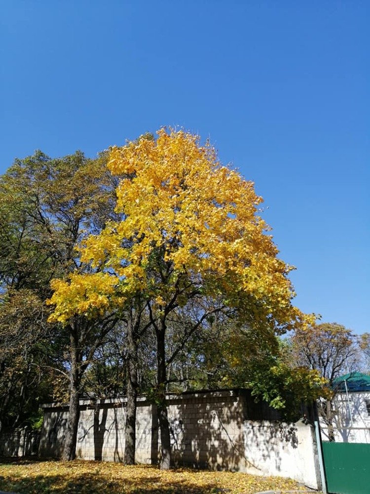 Photograph by Мила