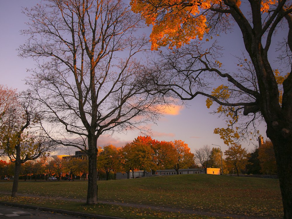 Photograph by Liudmila Drake