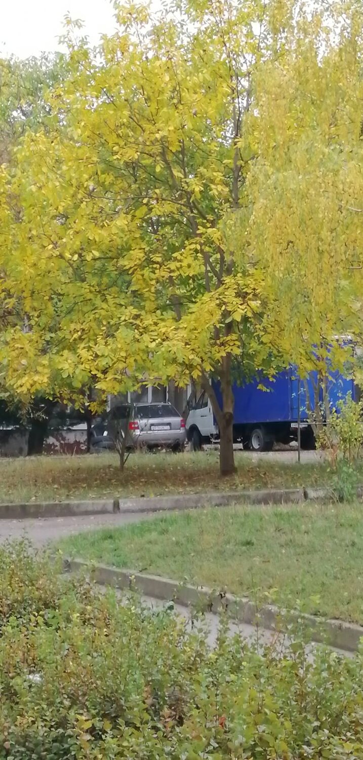 Photo #5303553