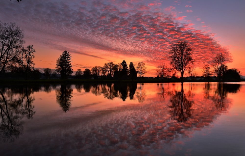 Photograph by Elena Wymann