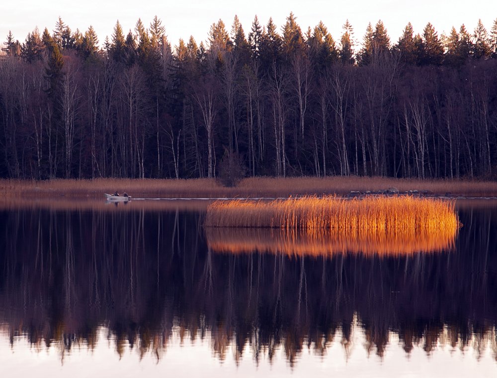 Все прелести утренней рыбалки