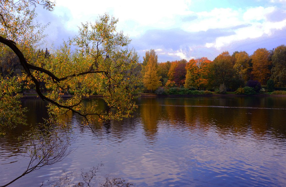 Photograph by Светлана Муравьева