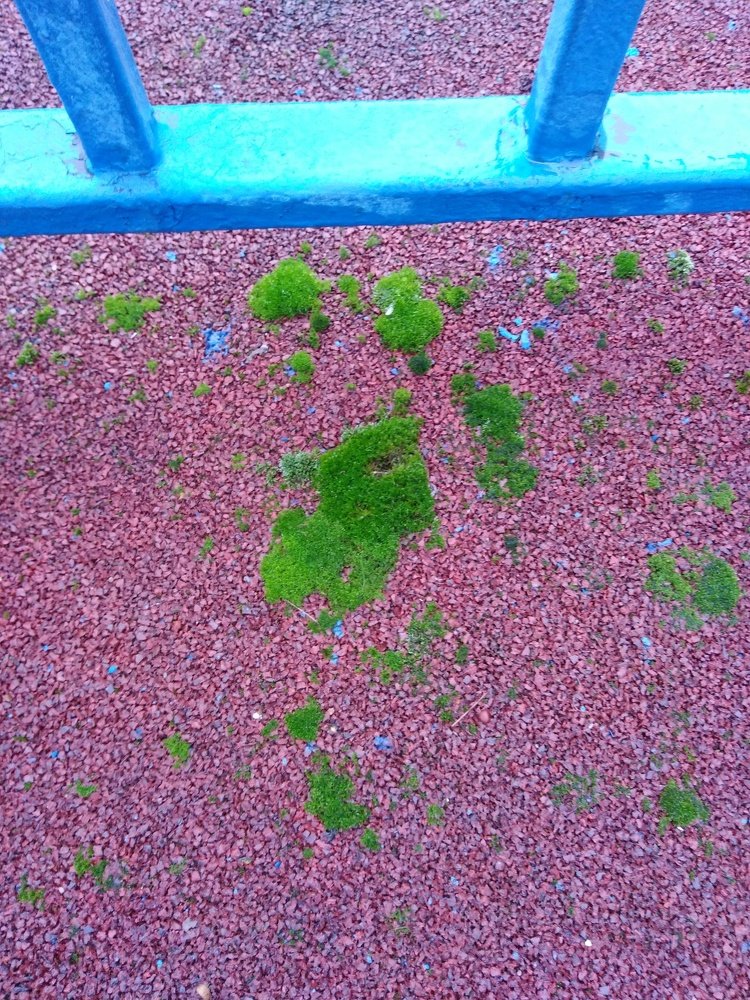 Photograph by Татьяна Ситникова