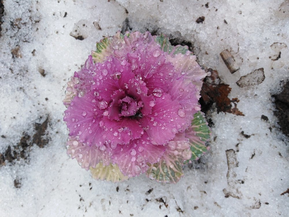 Photograph by Татьяна Ситникова